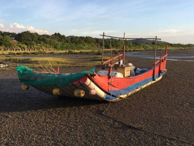 The Abandoned PVC Boats of Hsinchu